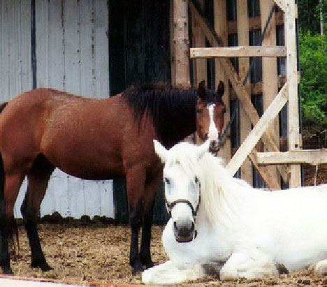 Patty et Kyra