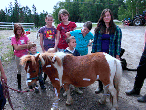 Ateliers parties du corps avec Bambi